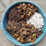 Alunos do Curso de Geografia realizam atividade de produção de adubo orgânico