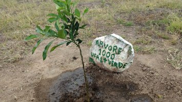 Projeto UFAL Mais Verde comemora o plantio da milésima árvore no Campus do Sertão